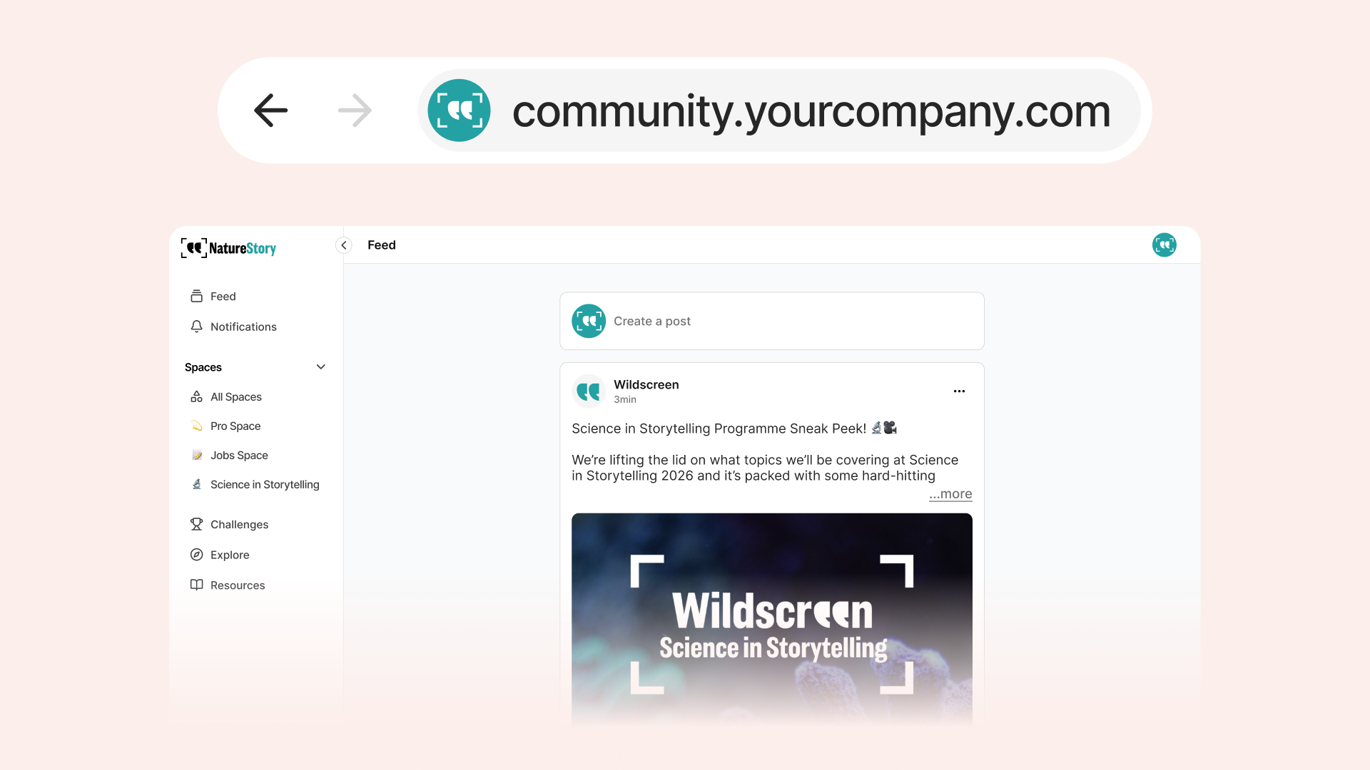 Custom Domains